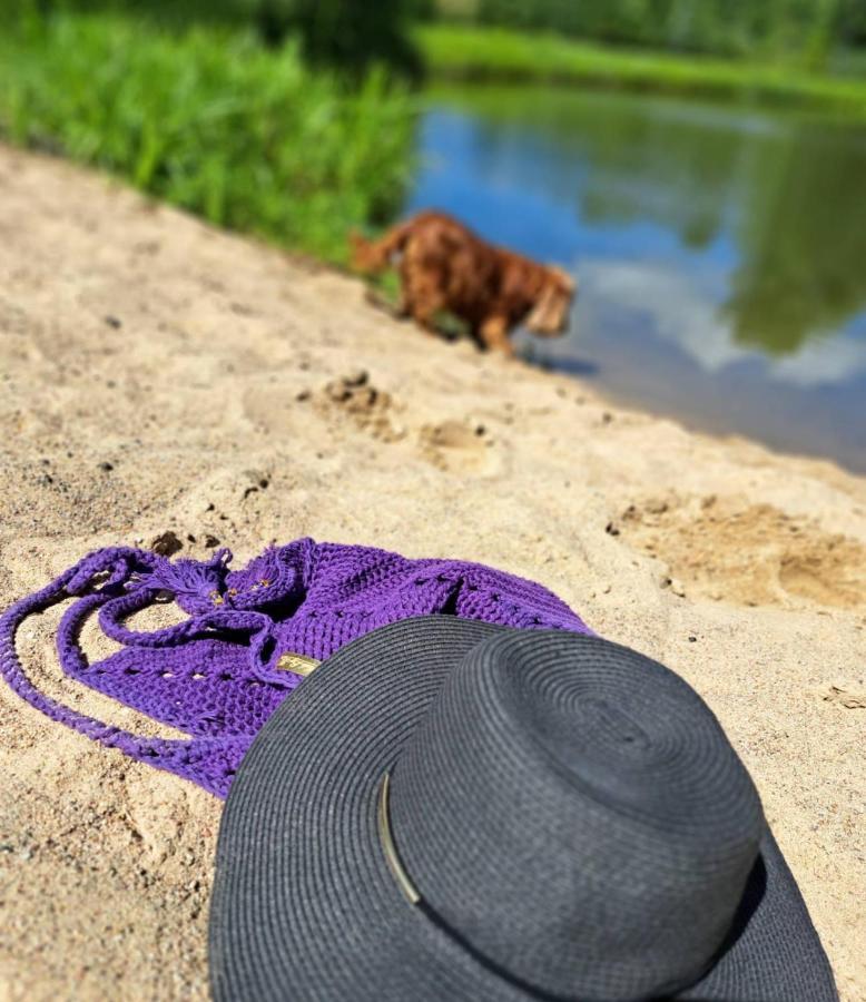 Wczasymazurskie - Domek Caloroczny " Lawenda" Mazury Moldzie エクステリア 写真